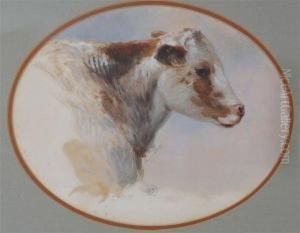 Head Study Of A Cow by Henry Nelson O'Neil