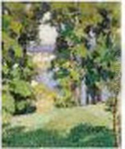Vue D'un Port A Travers Les Arbres