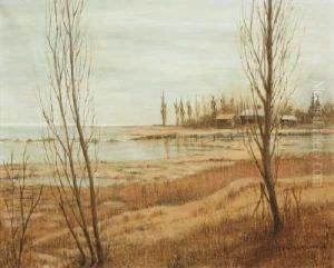 Cabins By The Shore