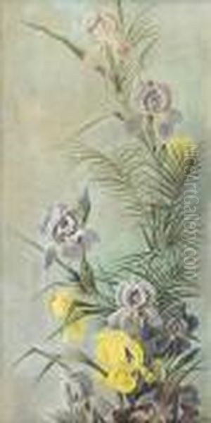 Irises - view 1
