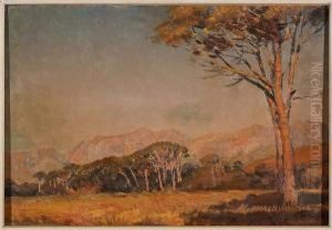 Franschhoek, Western Cape by Frans David Oerder