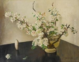 Cherry Blossom