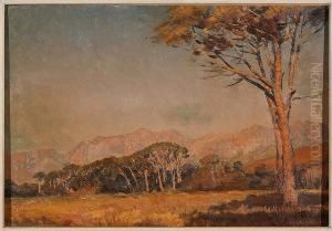 Landscape, Northern Transvaal by Frans David Oerder