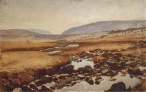 A South African Landscape
