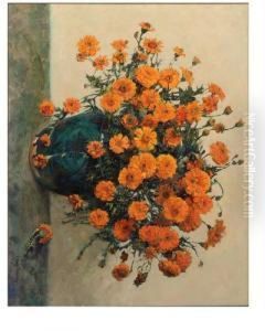 Afrikaantjes - Marigolds Afrikaantjes - Marigolds