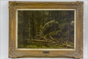 Metsamaisema - Skogslandskap.