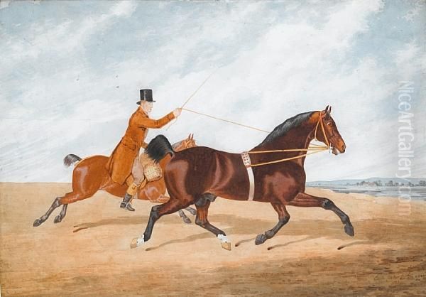 Horse And Rider - view 1