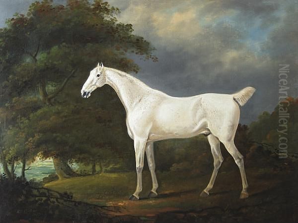 Grey Horse In A Landscape - view 1
