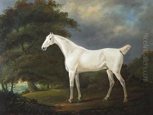 Grey Horse In A Landscape