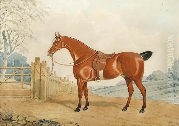 A Bay Horse In A Landscape - view 1