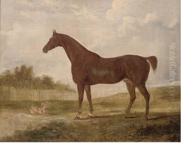 A Chestnut Hunter And A Terrier In An Extensive Landscape - view 1