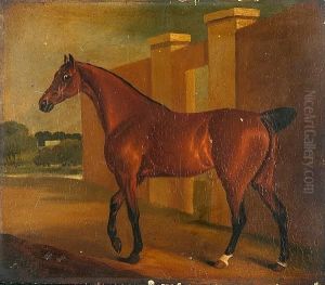 A Bay Mare by Edwin, Beccles Of Cooper