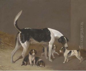 A Foxhound And Her Litter