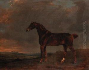 A Liver Chestnut In An Extensive Landscape