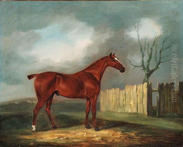 A Chestnut Hunter By A Fence In An Extensive Landscape - view 1