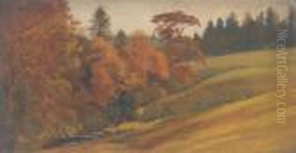 Wooded Landscape - view 1