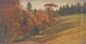 Wooded Landscape Wooded Landscape