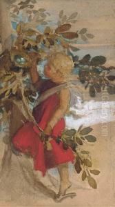 The Birds' Nest by Louisa Anne, Marchioness of Waterford