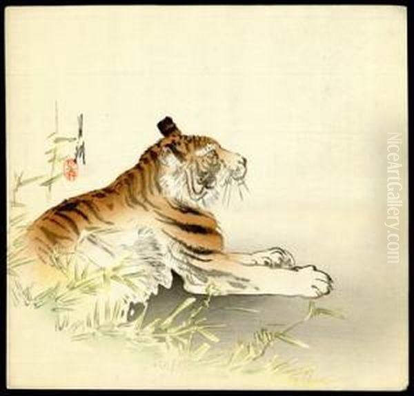 Tiger - view 1