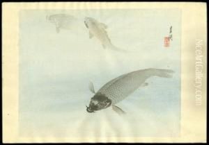 Carp by Ogata Gekko
