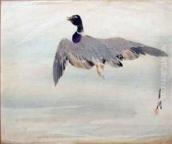 Untitled (flying Duck) - view 1