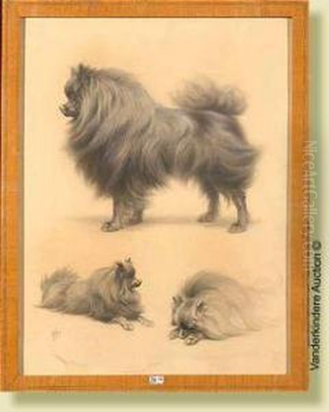 Etudesde Chien, Fusain Rehausse
Sur Papier. Signe En Bas A Gauche F.oger. Ecole Francaise. Dim.: 61x46
Cm - view 1