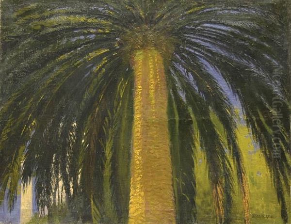 Palma- Capri, 1938 R. - view 1