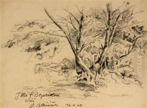 Studie Eines Baums by Blazicek Oldoich
