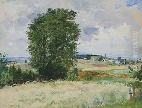 Rokytno - view 1