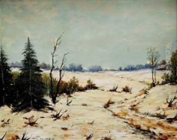 Zimna Krajina - view 1