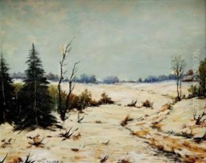 Zimna Krajina by Blazicek Oldoich