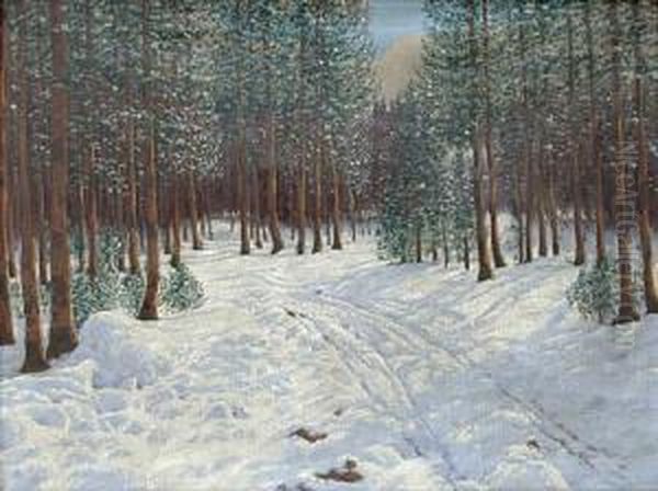 Forest In The Winter. - view 1