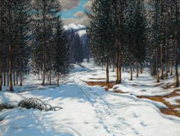 Eine Winterlandschaft - view 1