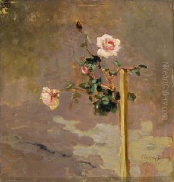 Rose - view 1