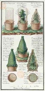 Illustration of a woven basket for transporting plants