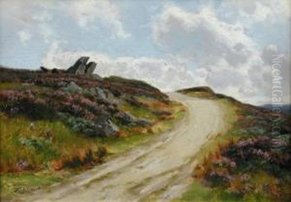 On Thedenbigh Moors - view 1