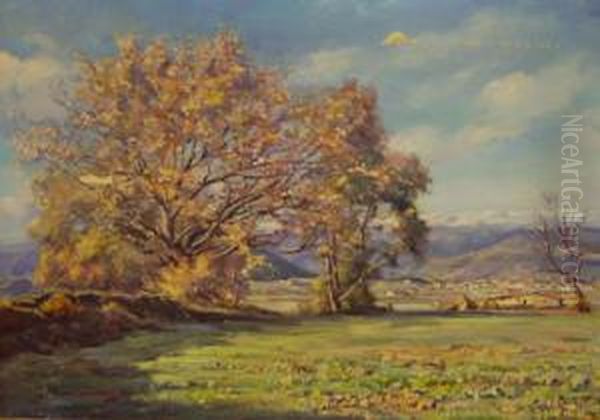 Paisaje - view 1