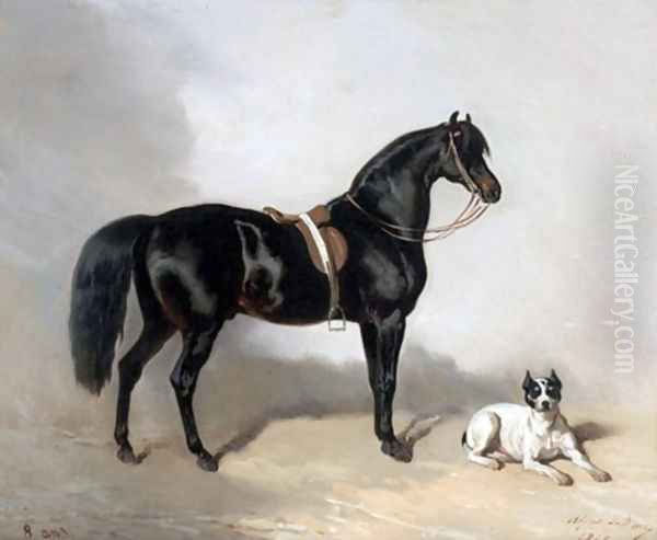 An Arabic horse and bulldogue - view 1