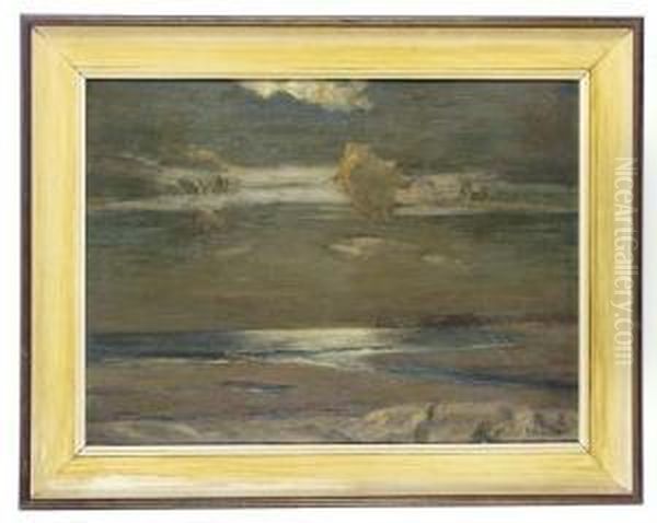 Night On The Coast - view 1