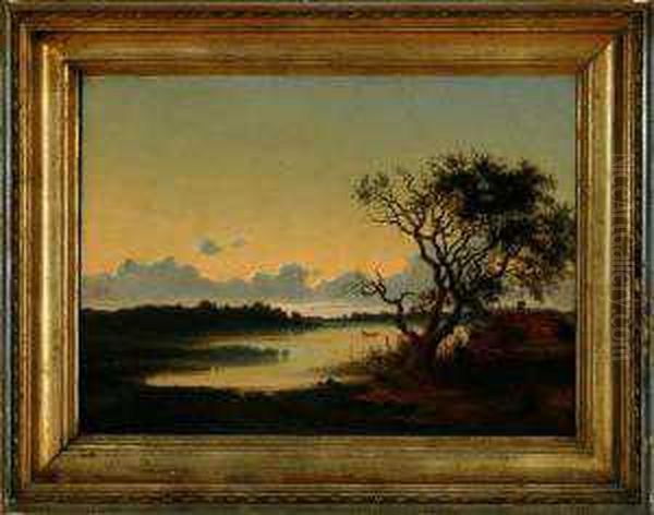 Evening Atmosphere Near A Forest Lake - view 1