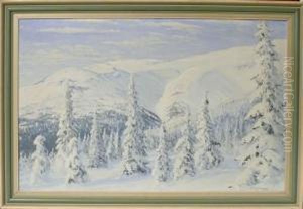Vinterlandskap. - view 1