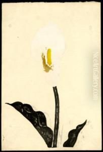 White Flower by Koshiro Onchi