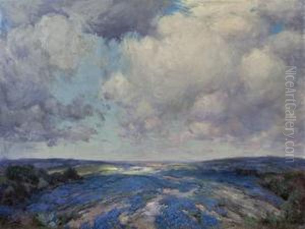 Bluebonnets - view 1