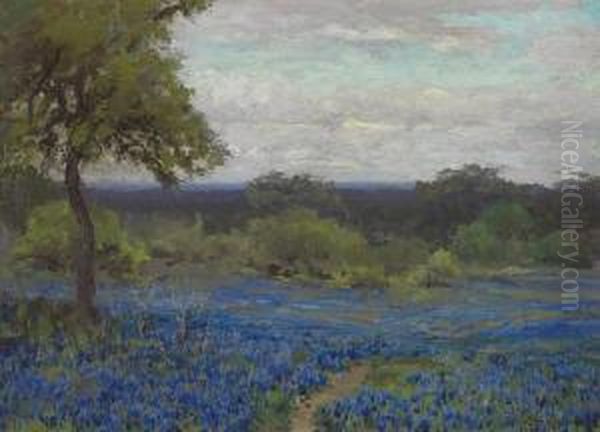 Blue Bonnets - view 1