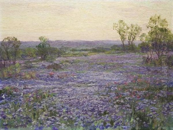 A Verbena Field At Twilight - view 1