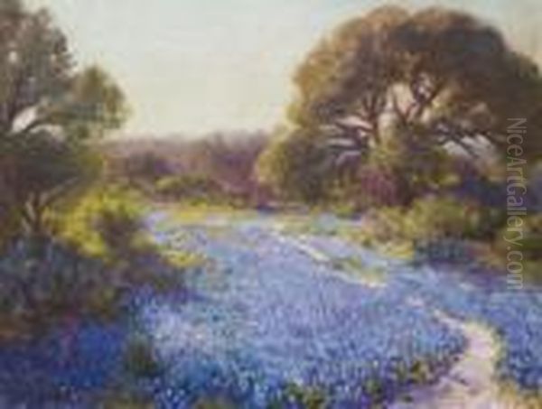 Path Through The Bluebonnets - view 1