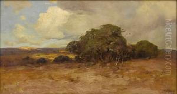 Untitled Texas Dry Country - view 1