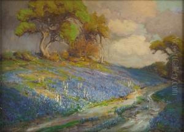 Late Afternoon In The Bluebonnets, S. W. Texas - view 1
