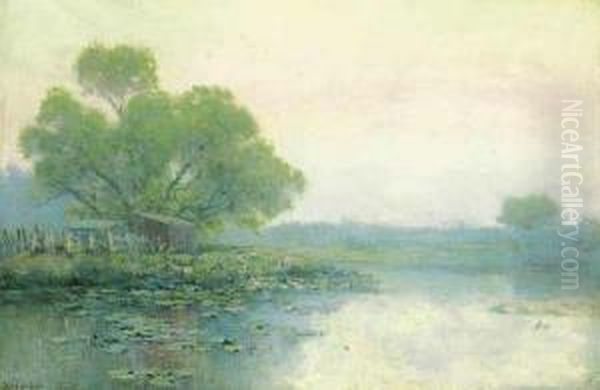 Morning On The Pond - view 1
