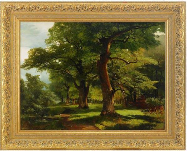 Forest - view 1